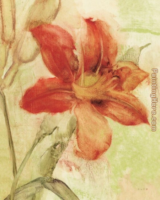 Orange Day Lily